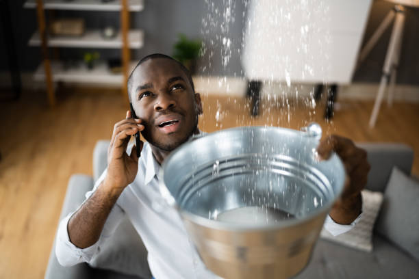 Water damage restoration mold remediation in Eureka, IL
