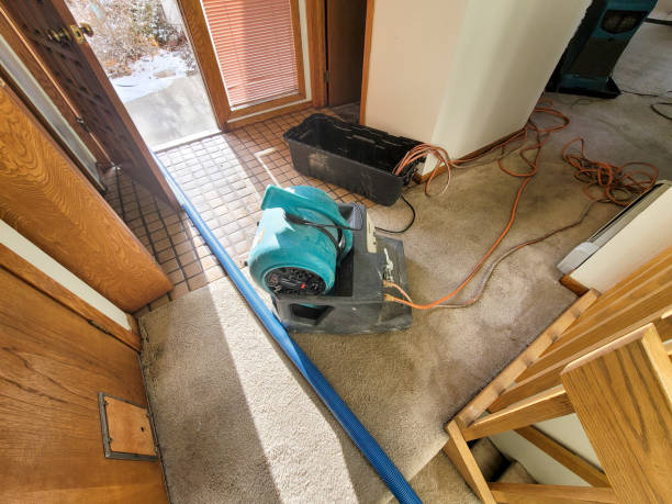 Best Water damage restoration near me  in Eureka, IL