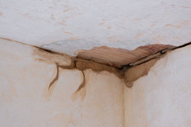 Best Ceiling water damage repair  in Eureka, IL