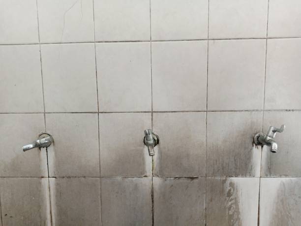 Best Water damage restoration near me  in Eureka, IL